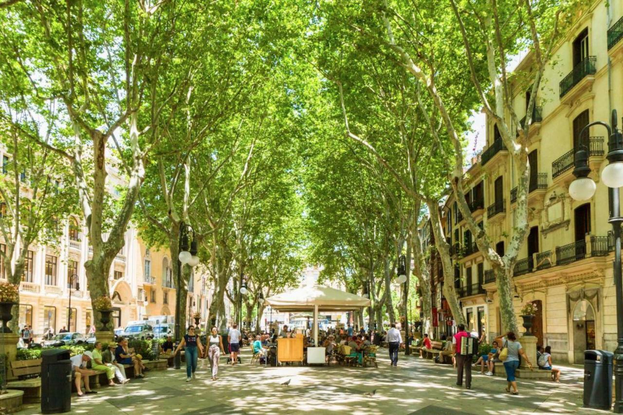 Style Palma Ti Palma de Mallorca
